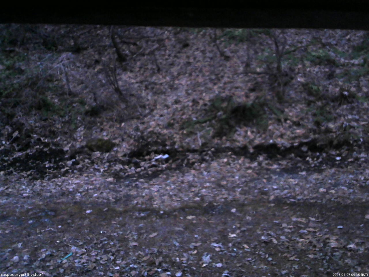 長野県菅平高原 ゆたか山荘 東側(坂下) 2026/04/07 05:15