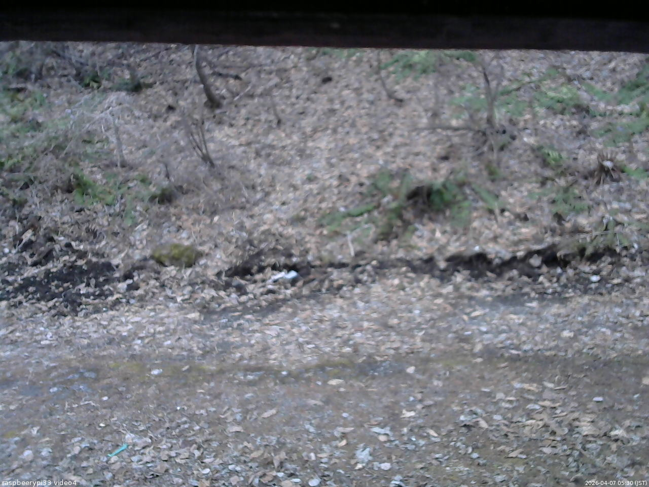 長野県菅平高原 ゆたか山荘 東側(坂下) 2026/04/07 05:30