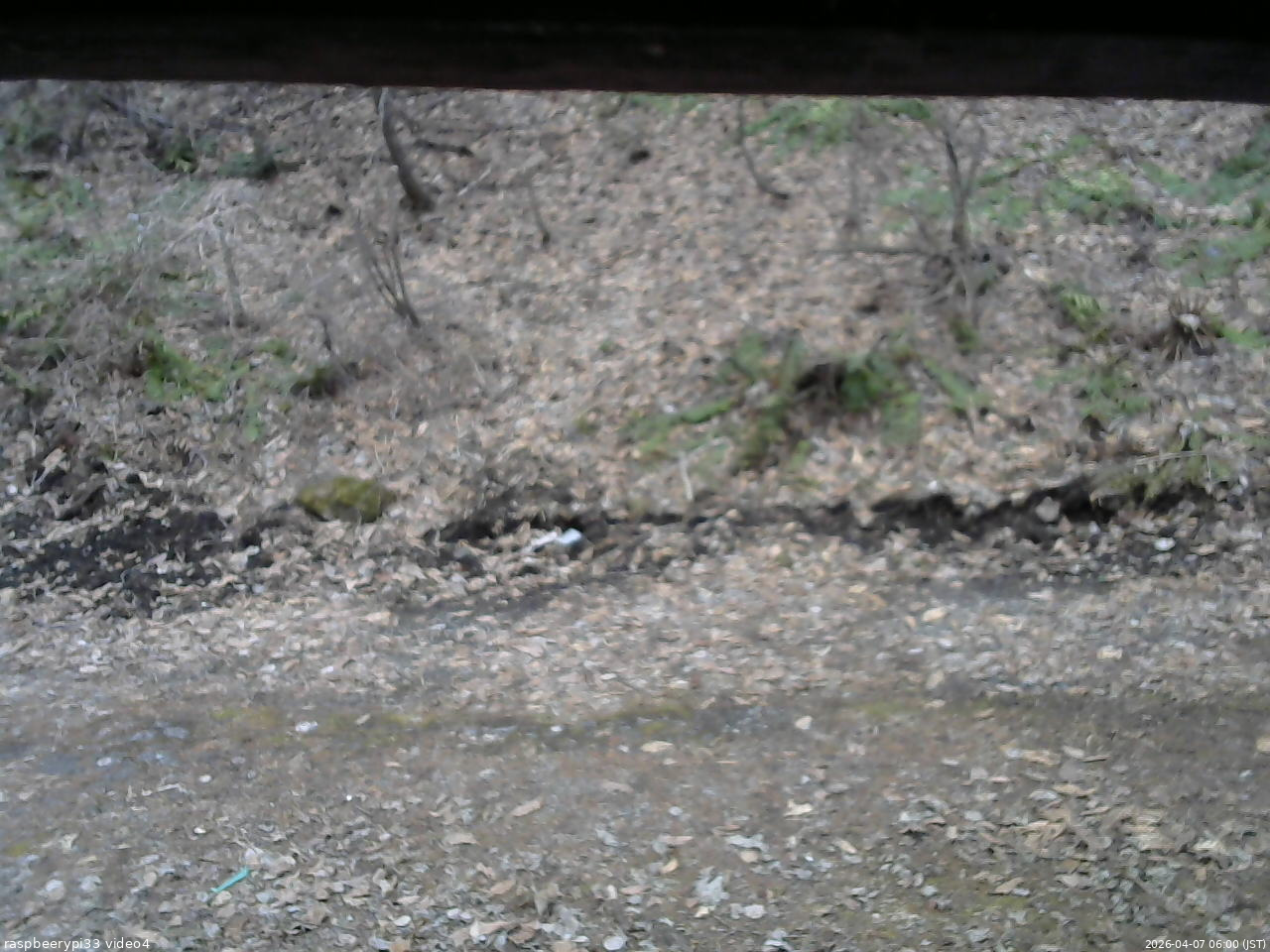 長野県菅平高原 ゆたか山荘 東側(坂下) 2026/04/07 06:00