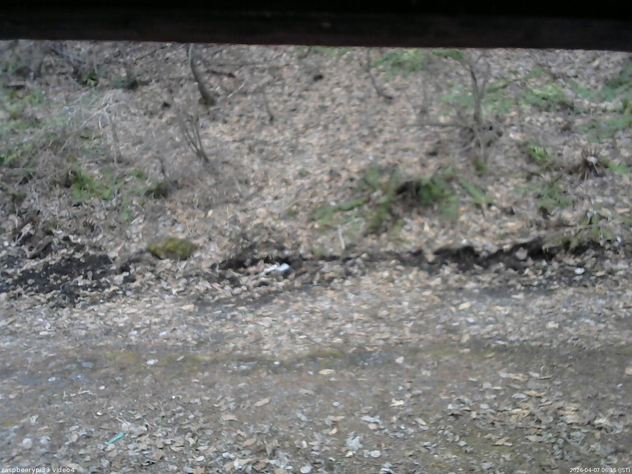 長野県菅平高原 ゆたか山荘 東側(坂下) 2026/04/07 06:15