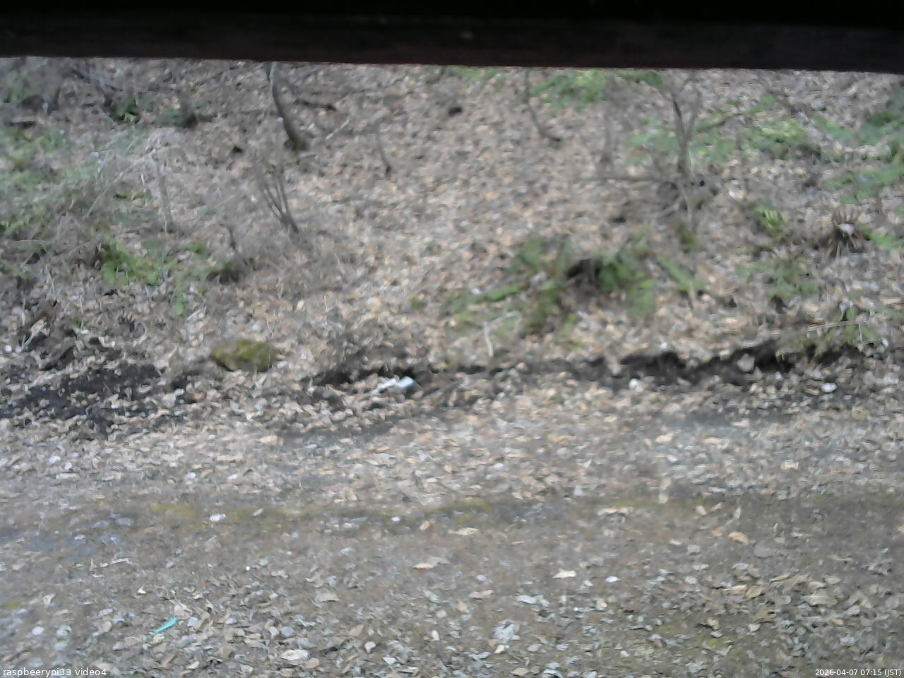 長野県菅平高原 ゆたか山荘 東側(坂下) 2026/04/07 07:15