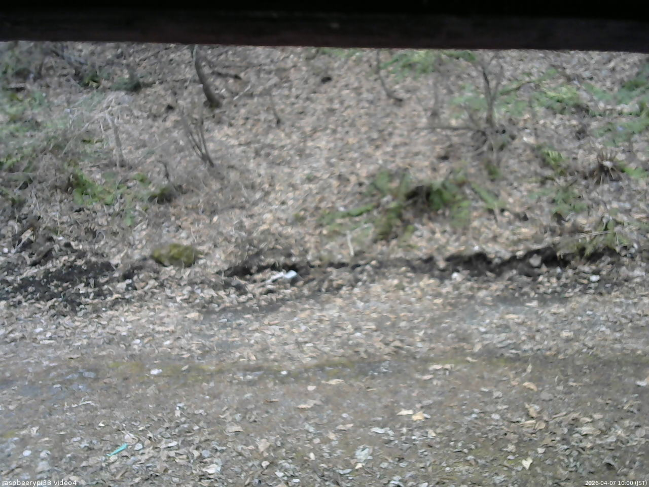 長野県菅平高原 ゆたか山荘 東側(坂下) 2026/04/07 10:00