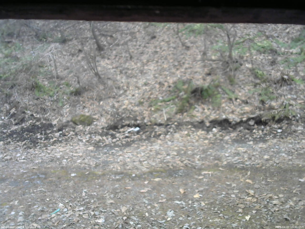 長野県菅平高原 ゆたか山荘 東側(坂下) 2026/04/07 10:30