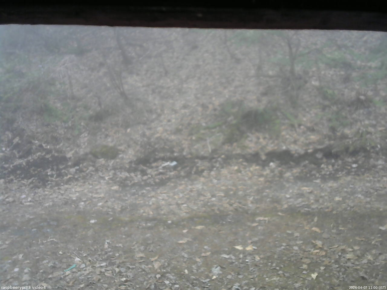 長野県菅平高原 ゆたか山荘 東側(坂下) 2026/04/07 11:00