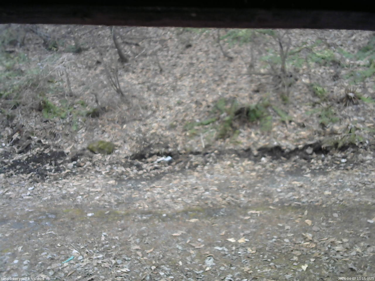 長野県菅平高原 ゆたか山荘 東側(坂下) 2026/04/07 11:15