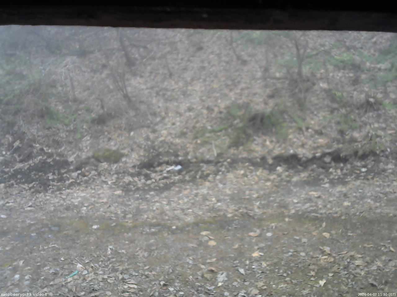 長野県菅平高原 ゆたか山荘 東側(坂下) 2026/04/07 11:30