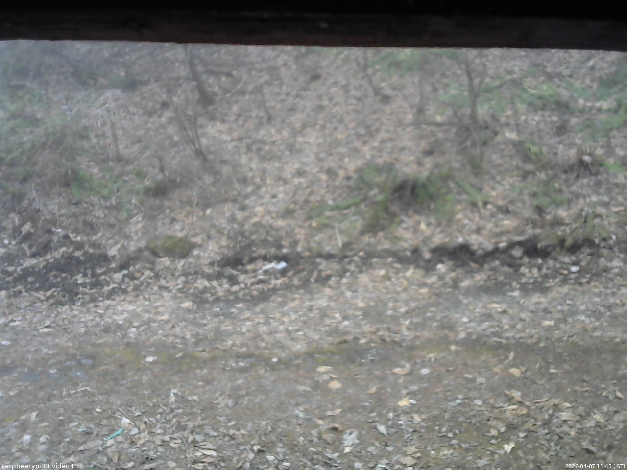 長野県菅平高原 ゆたか山荘 東側(坂下) 2026/04/07 11:45