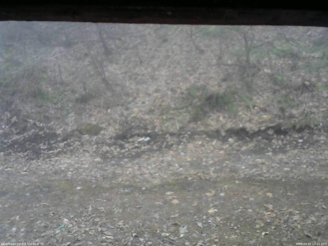 長野県菅平高原 ゆたか山荘 東側(坂下) 2026/04/07 12:15