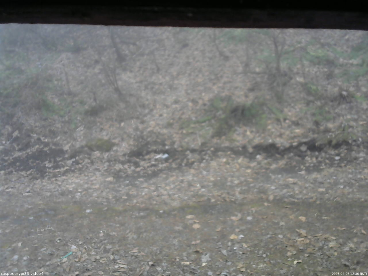 長野県菅平高原 ゆたか山荘 東側(坂下) 2026/04/07 12:30