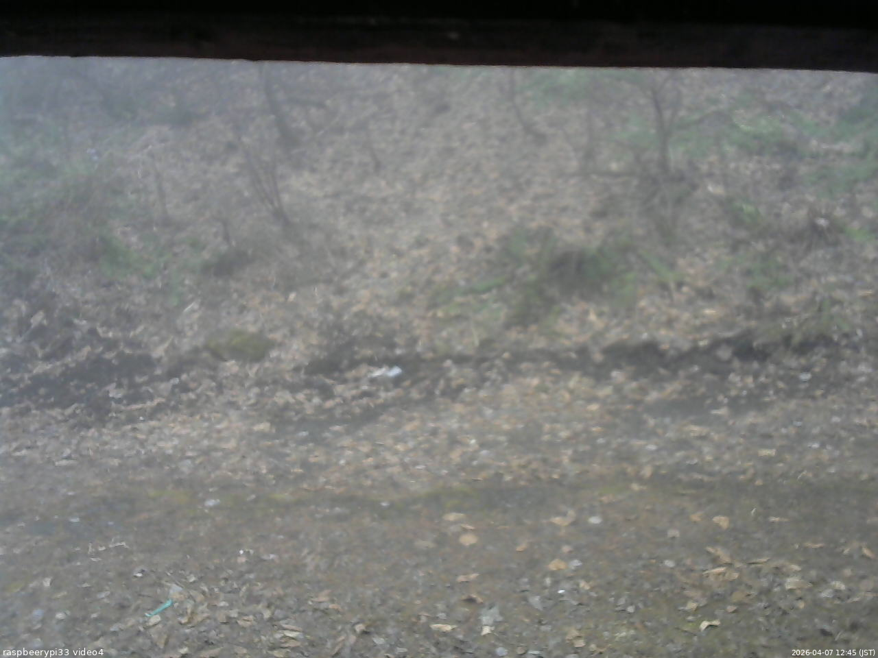 長野県菅平高原 ゆたか山荘 東側(坂下) 2026/04/07 12:45