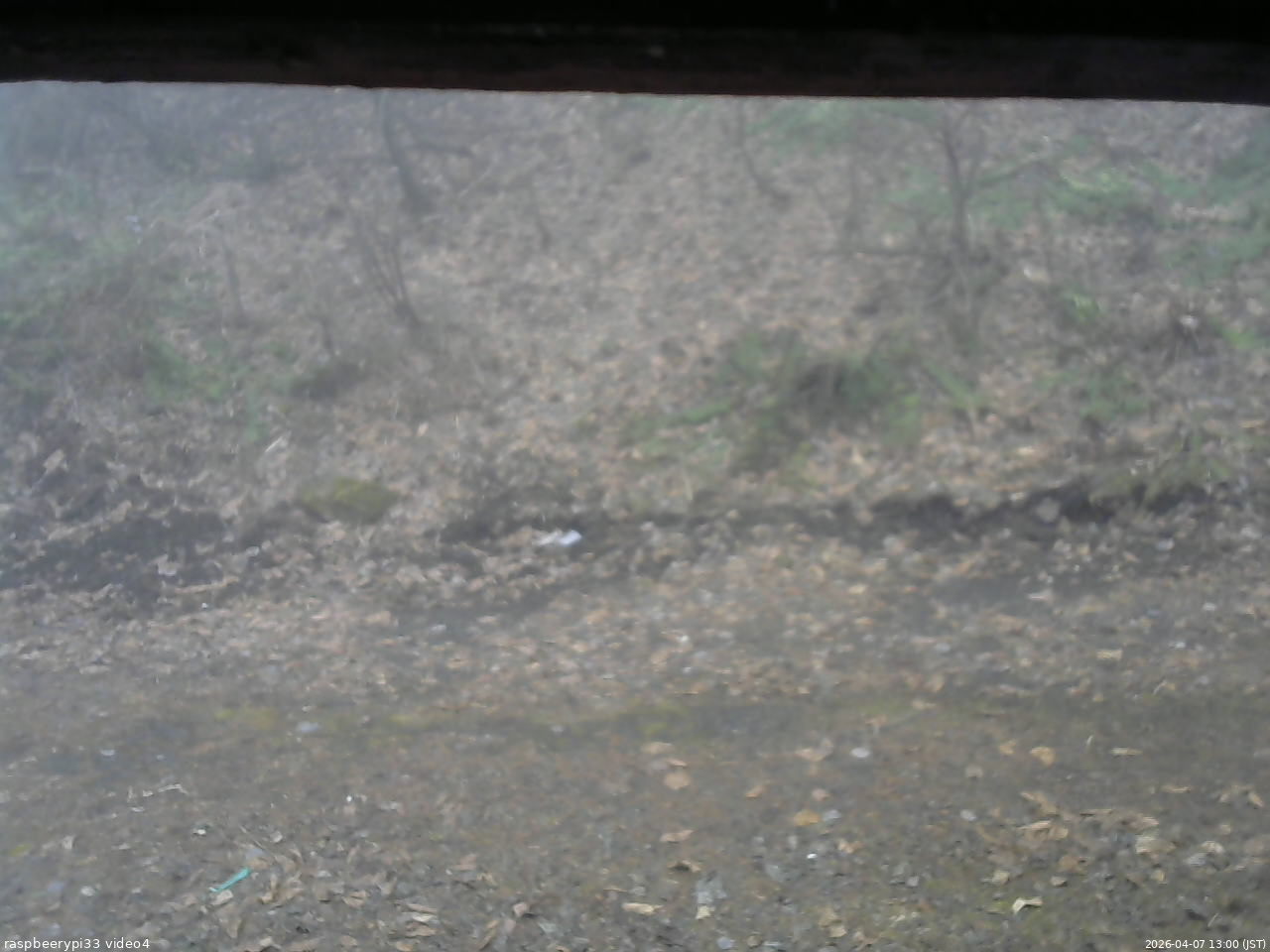 長野県菅平高原 ゆたか山荘 東側(坂下) 2026/04/07 13:00