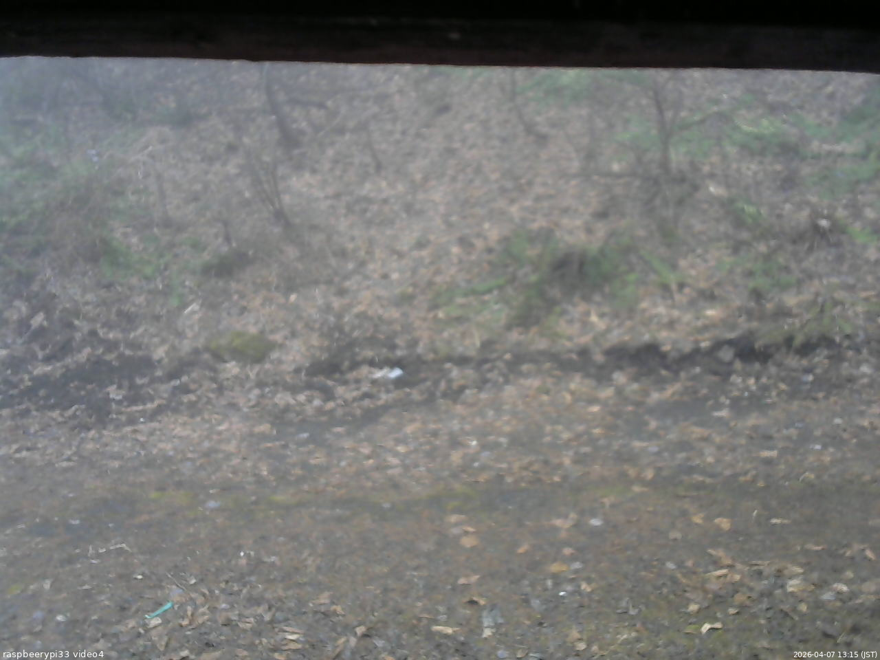 長野県菅平高原 ゆたか山荘 東側(坂下) 2026/04/07 13:15