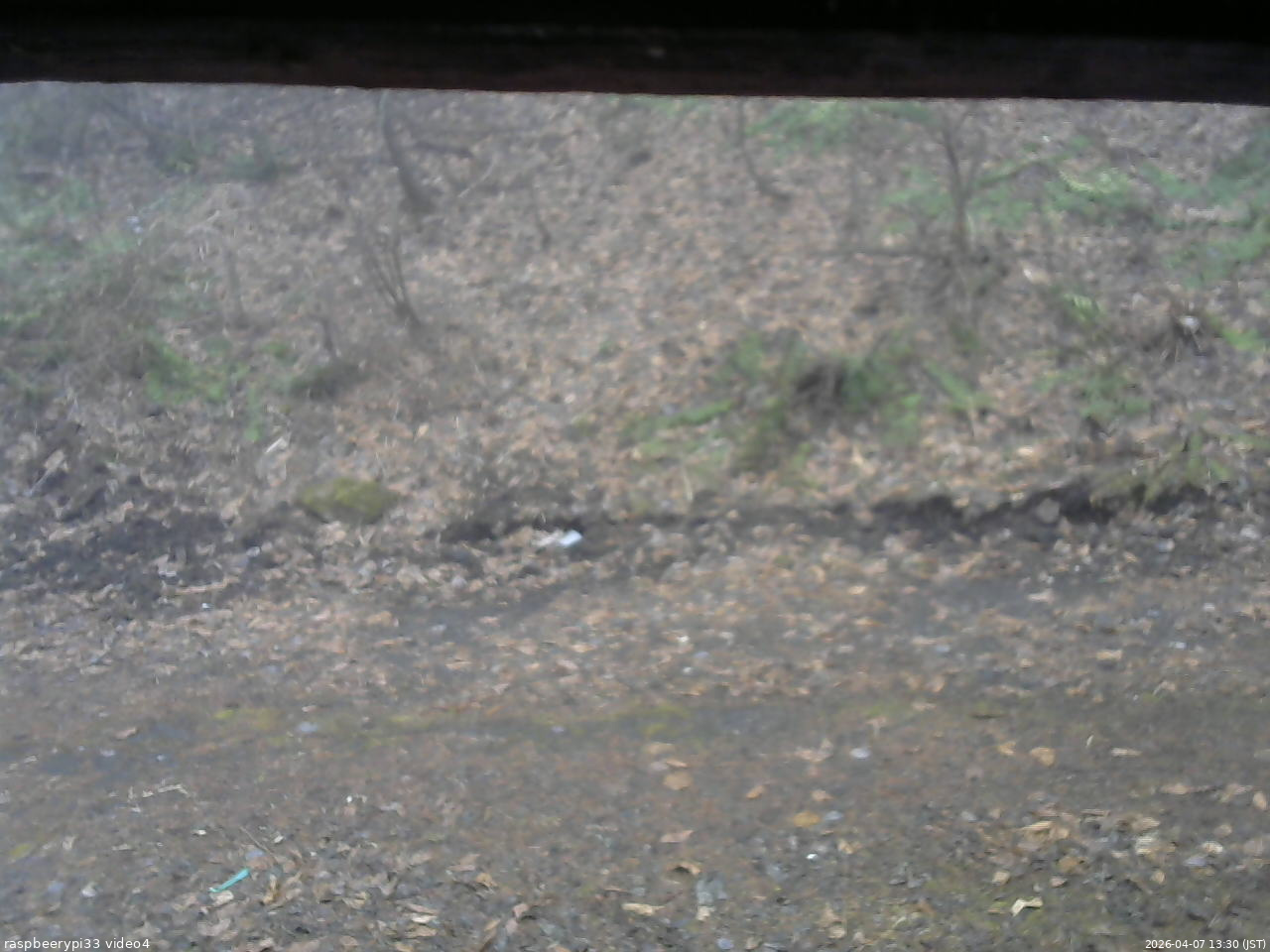 長野県菅平高原 ゆたか山荘 東側(坂下) 2026/04/07 13:30