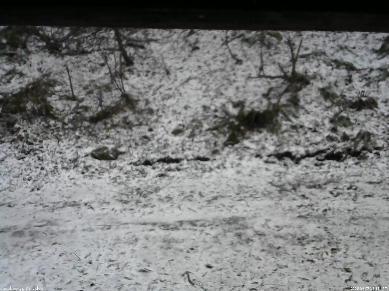 長野県菅平高原 ゆたか山荘 東側(坂下) 2026/04/07 15:15