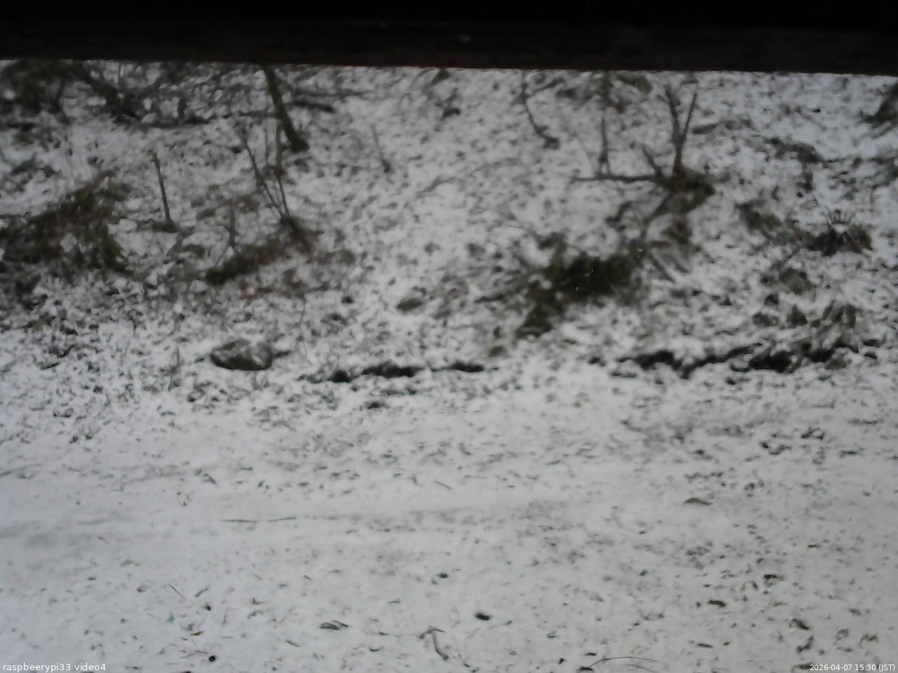 長野県菅平高原 ゆたか山荘 東側(坂下) 2026/04/07 15:30