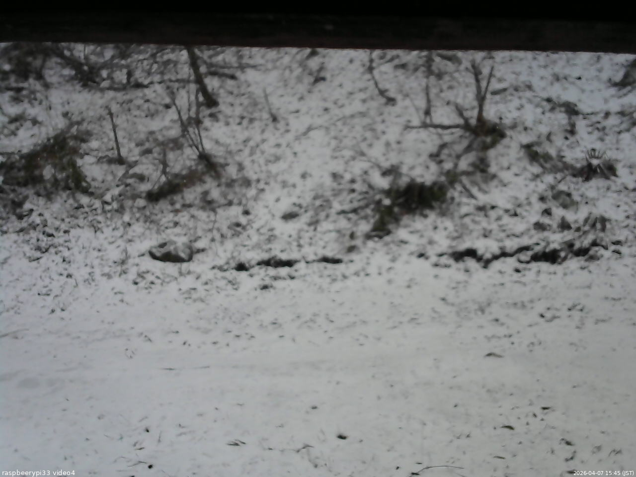 長野県菅平高原 ゆたか山荘 東側(坂下) 2026/04/07 15:45