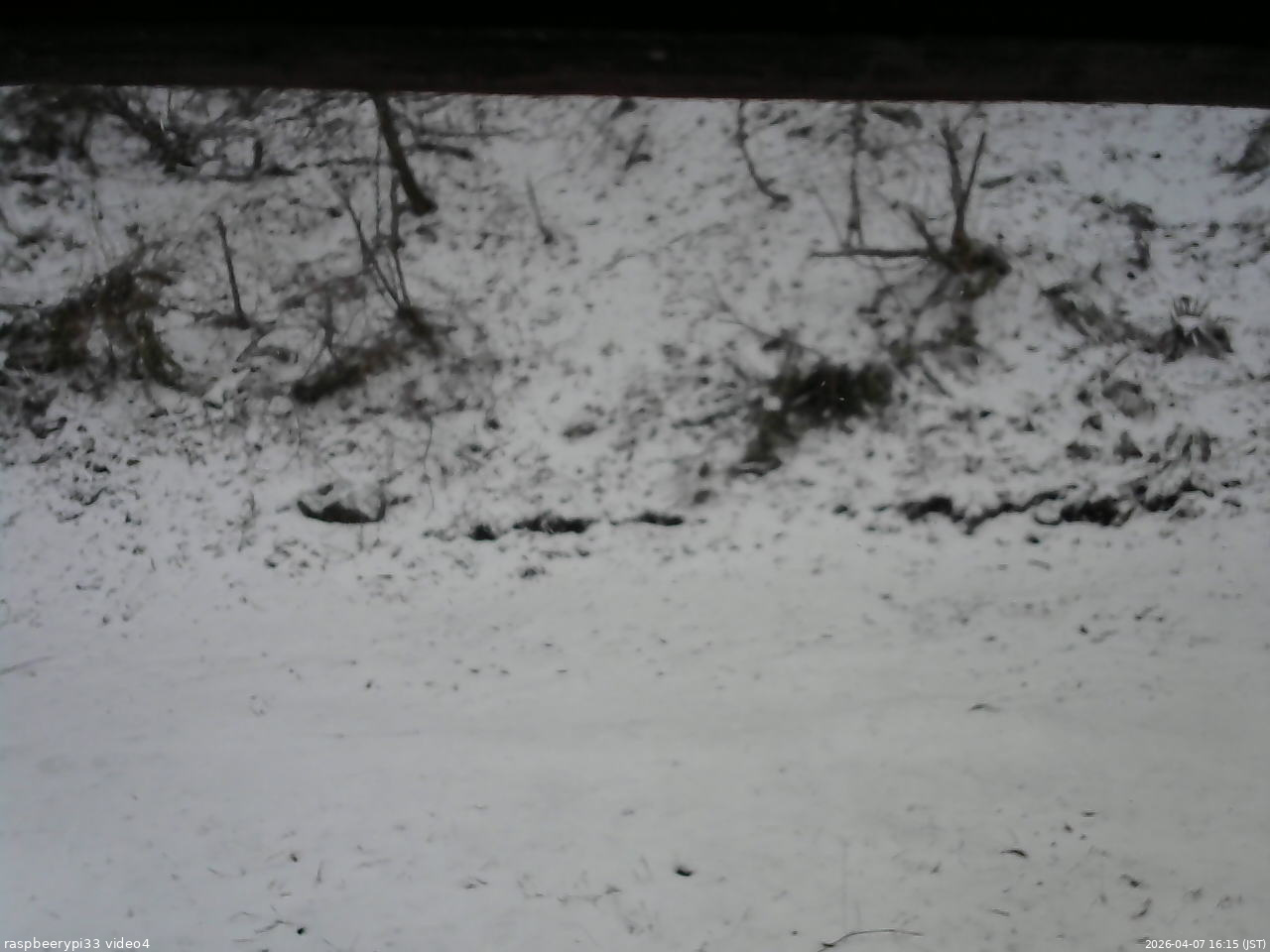 長野県菅平高原 ゆたか山荘 東側(坂下) 2026/04/07 16:15