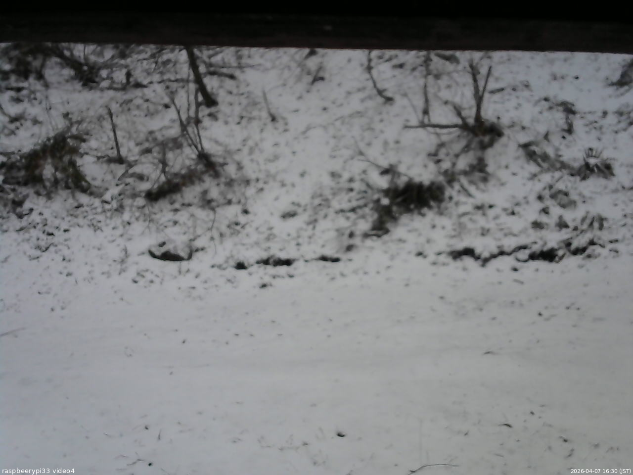 長野県菅平高原 ゆたか山荘 東側(坂下) 2026/04/07 16:30