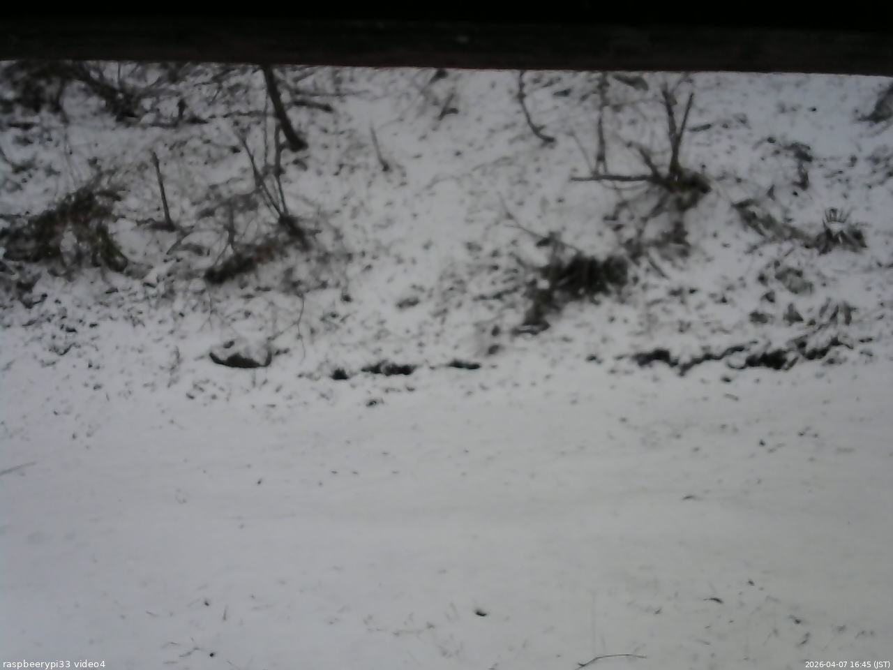 長野県菅平高原 ゆたか山荘 東側(坂下) 2026/04/07 16:45