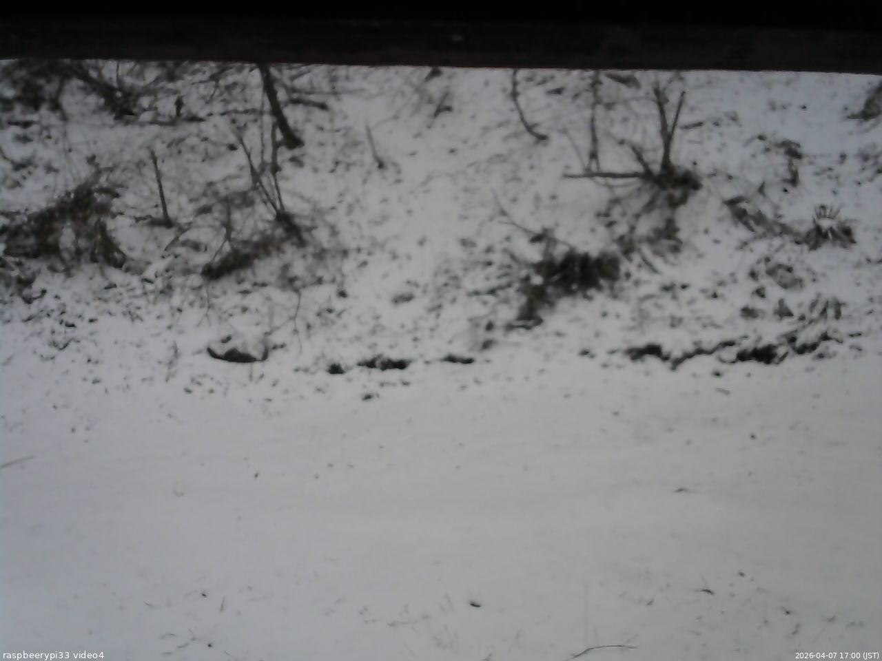 長野県菅平高原 ゆたか山荘 東側(坂下) 2026/04/07 17:00