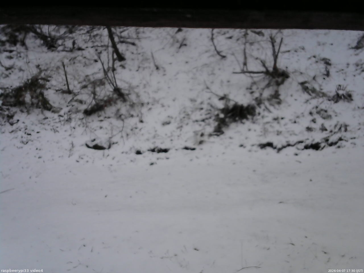 長野県菅平高原 ゆたか山荘 東側(坂下) 2026/04/07 17:30