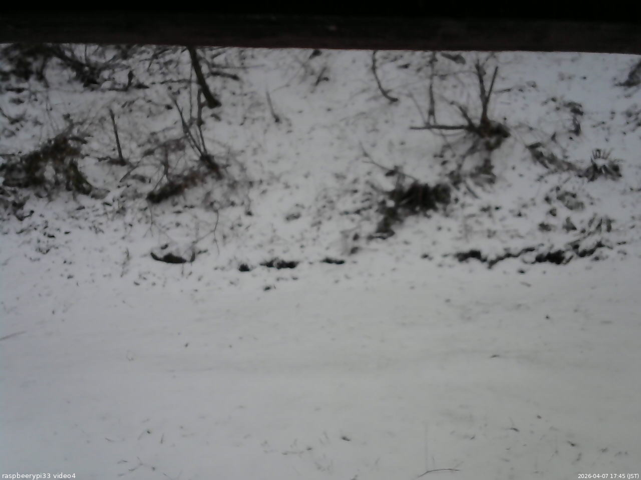 長野県菅平高原 ゆたか山荘 東側(坂下) 2026/04/07 17:45