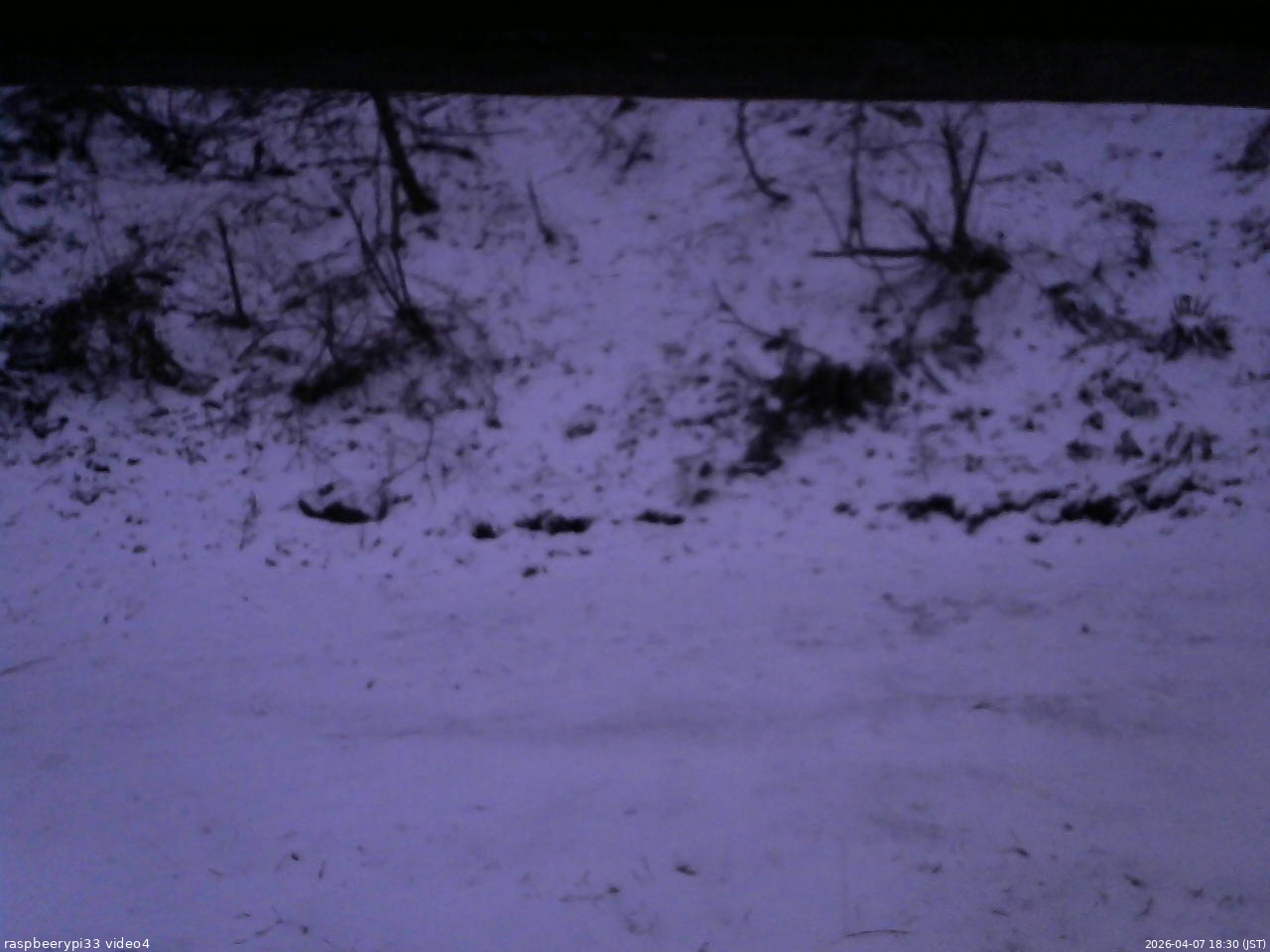 長野県菅平高原 ゆたか山荘 東側(坂下) 2026/04/07 18:30