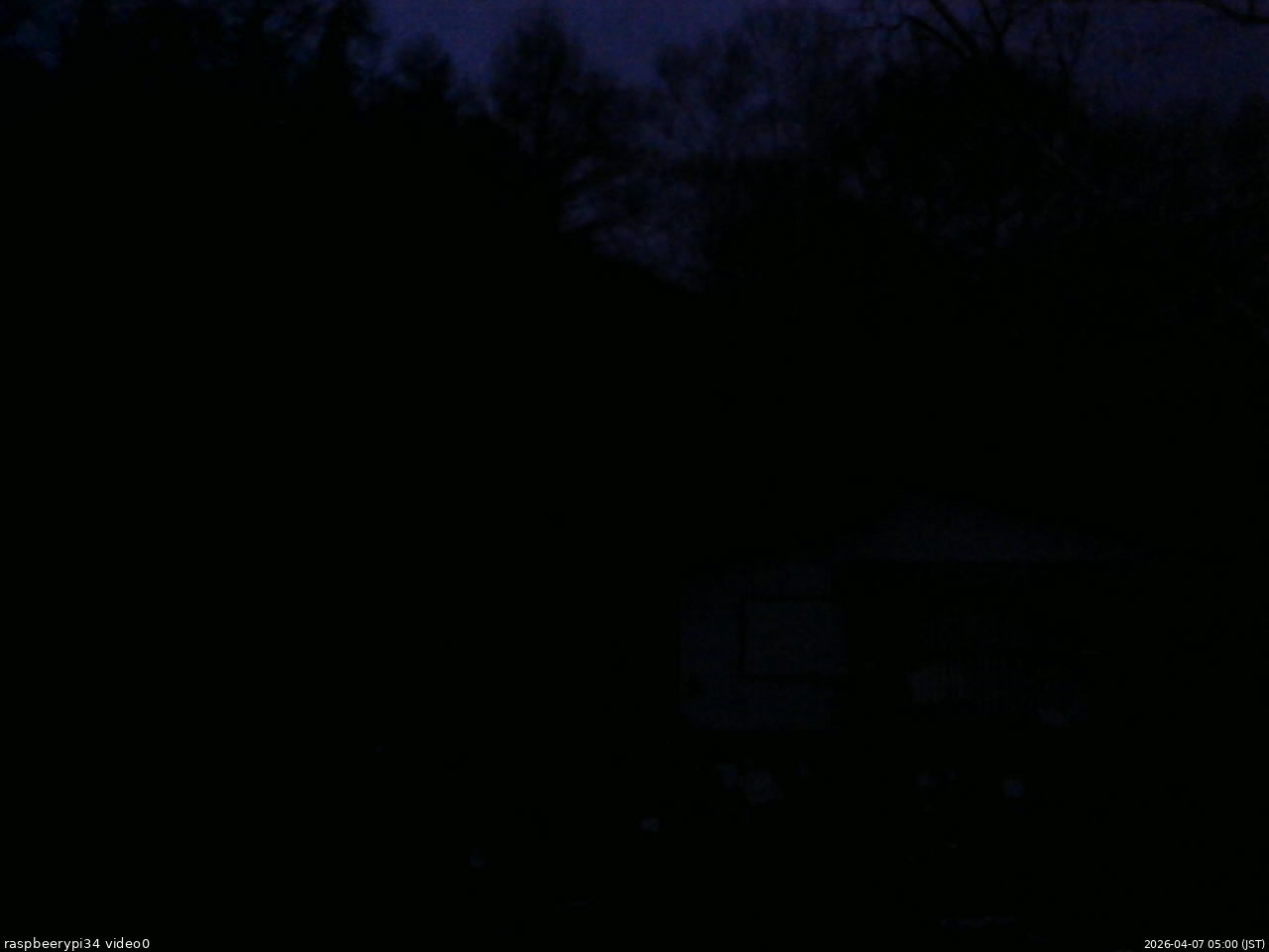 長野県菅平高原 ゆたか山荘 西側(坂上) 2026/04/07 05:00