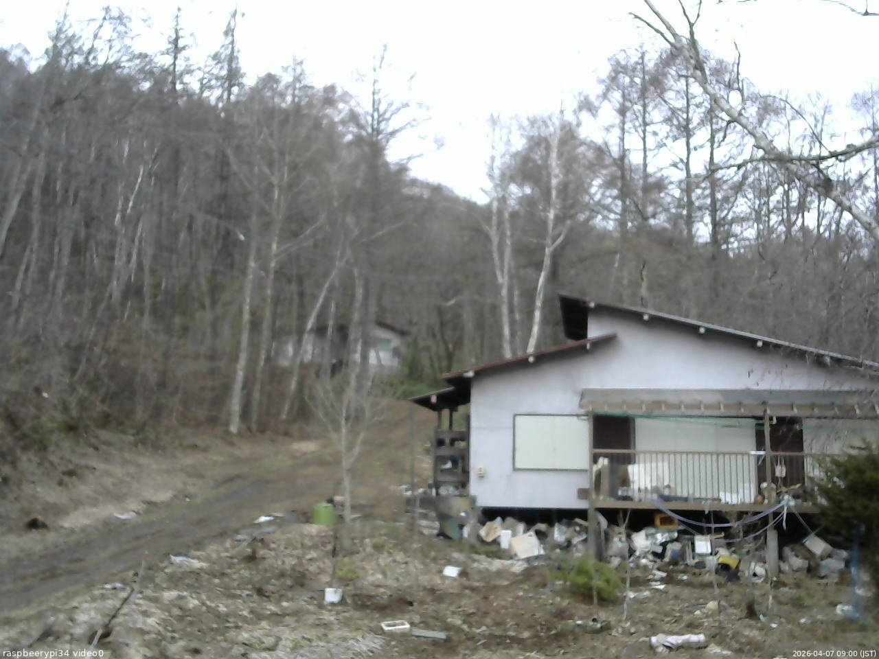 長野県菅平高原 ゆたか山荘 西側(坂上) 2026/04/07 09:00