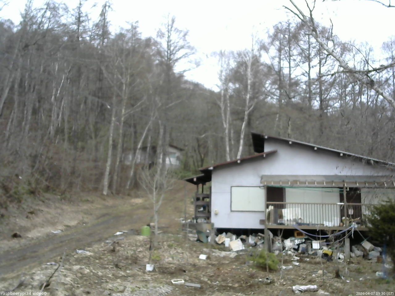 長野県菅平高原 ゆたか山荘 西側(坂上) 2026/04/07 09:30