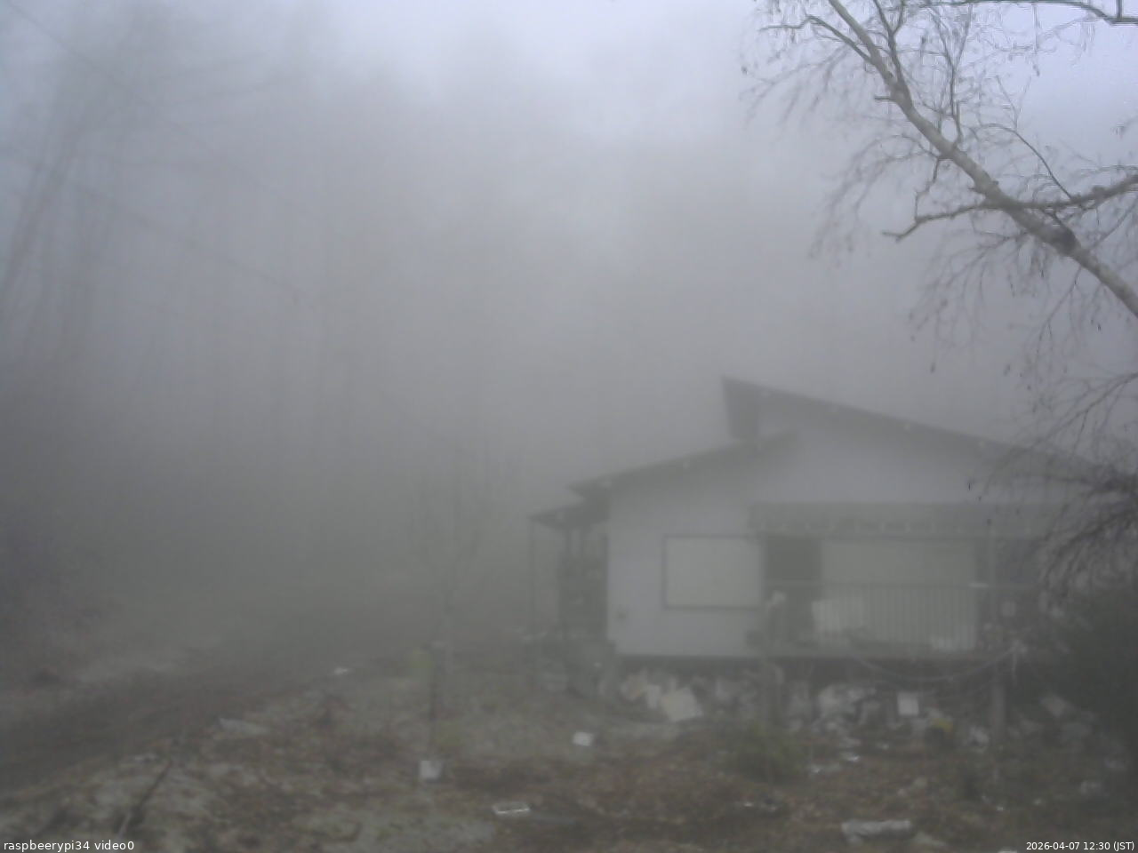 長野県菅平高原 ゆたか山荘 西側(坂上) 2026/04/07 12:30