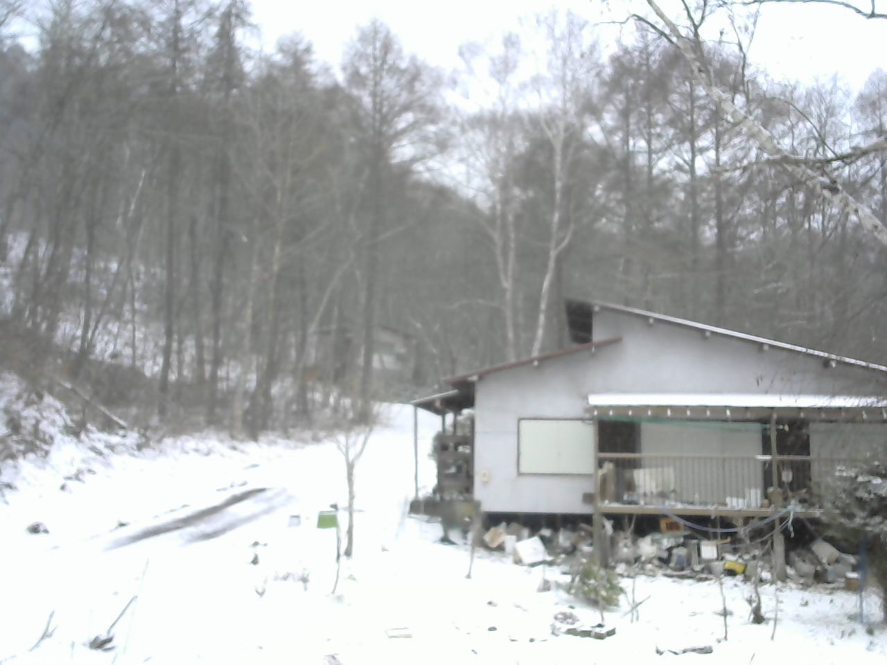 長野県菅平高原 ゆたか山荘 西側(坂上) 2026/04/07 17:15