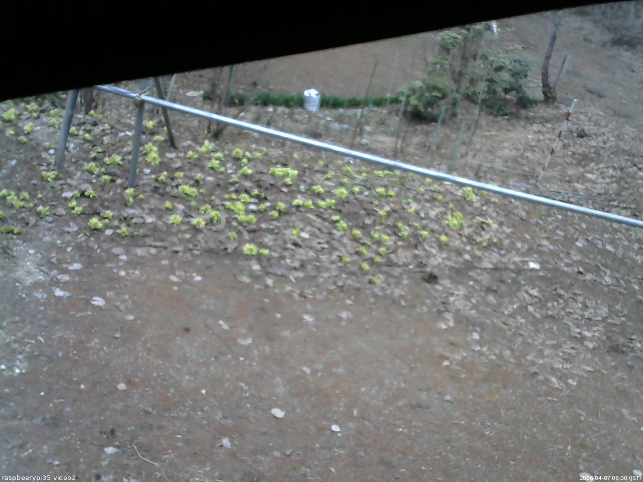 長野県菅平高原 ゆたか山荘 駐車場 2026/04/07 06:00