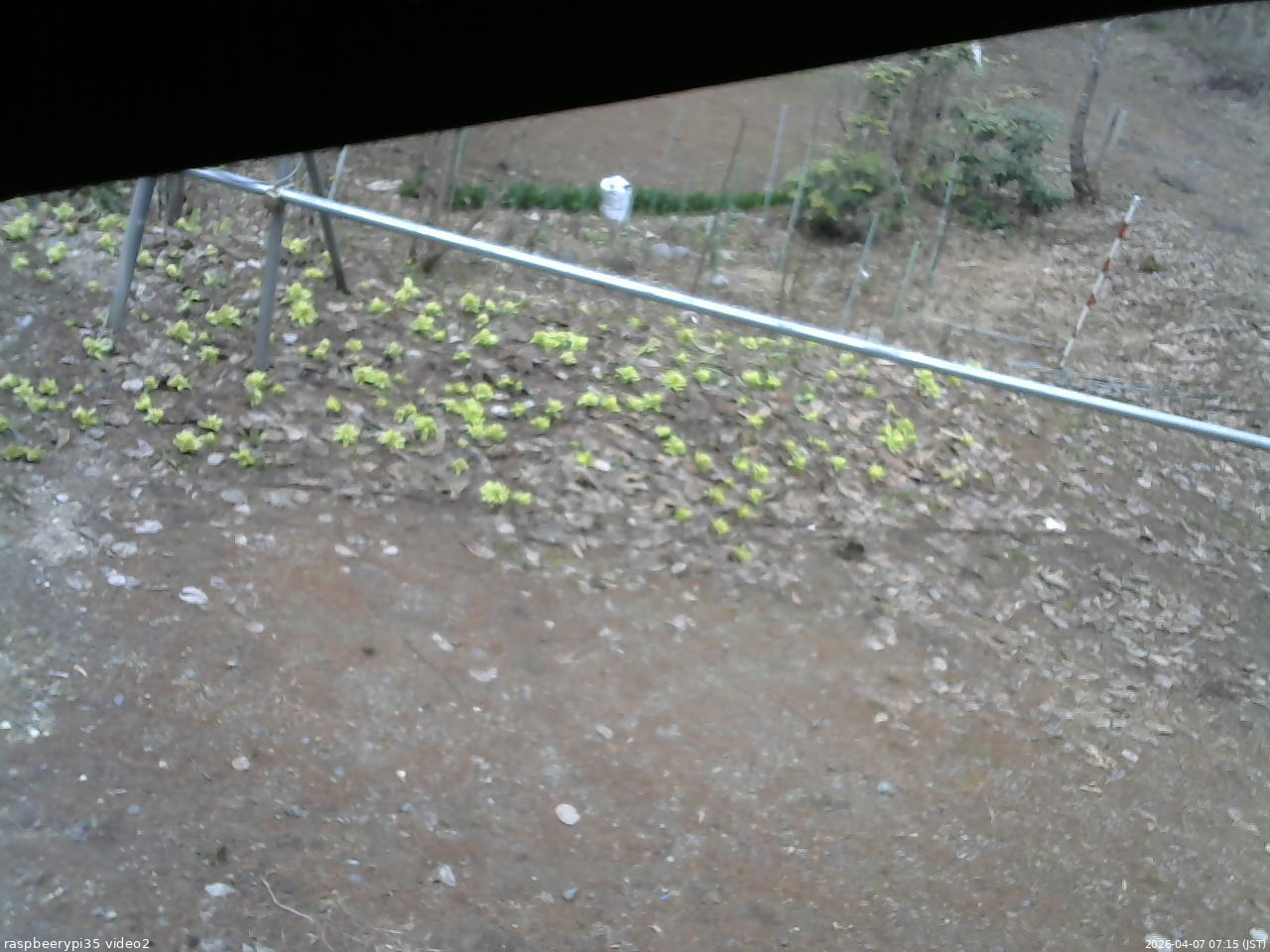 長野県菅平高原 ゆたか山荘 駐車場 2026/04/07 07:15