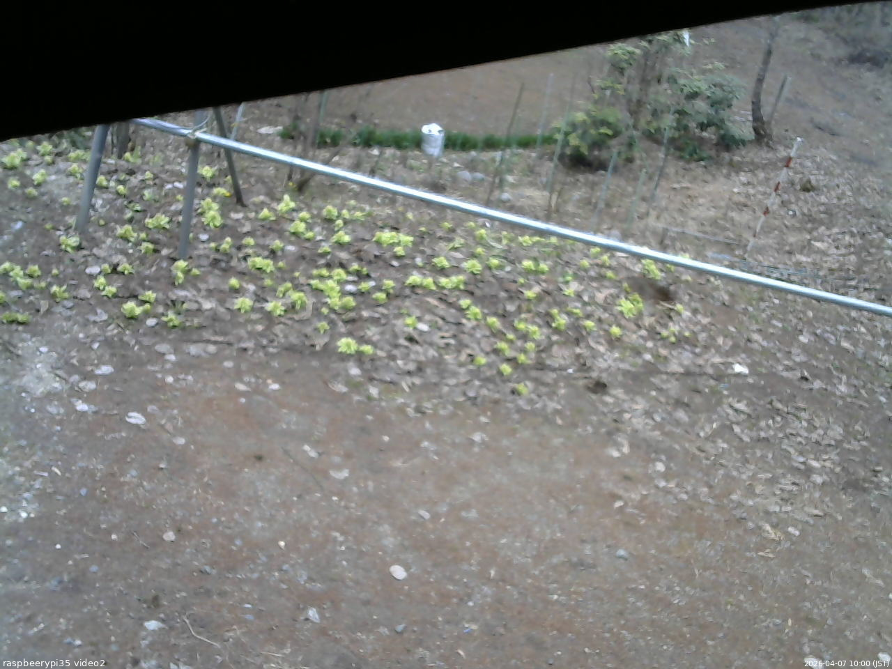 長野県菅平高原 ゆたか山荘 駐車場 2026/04/07 10:00