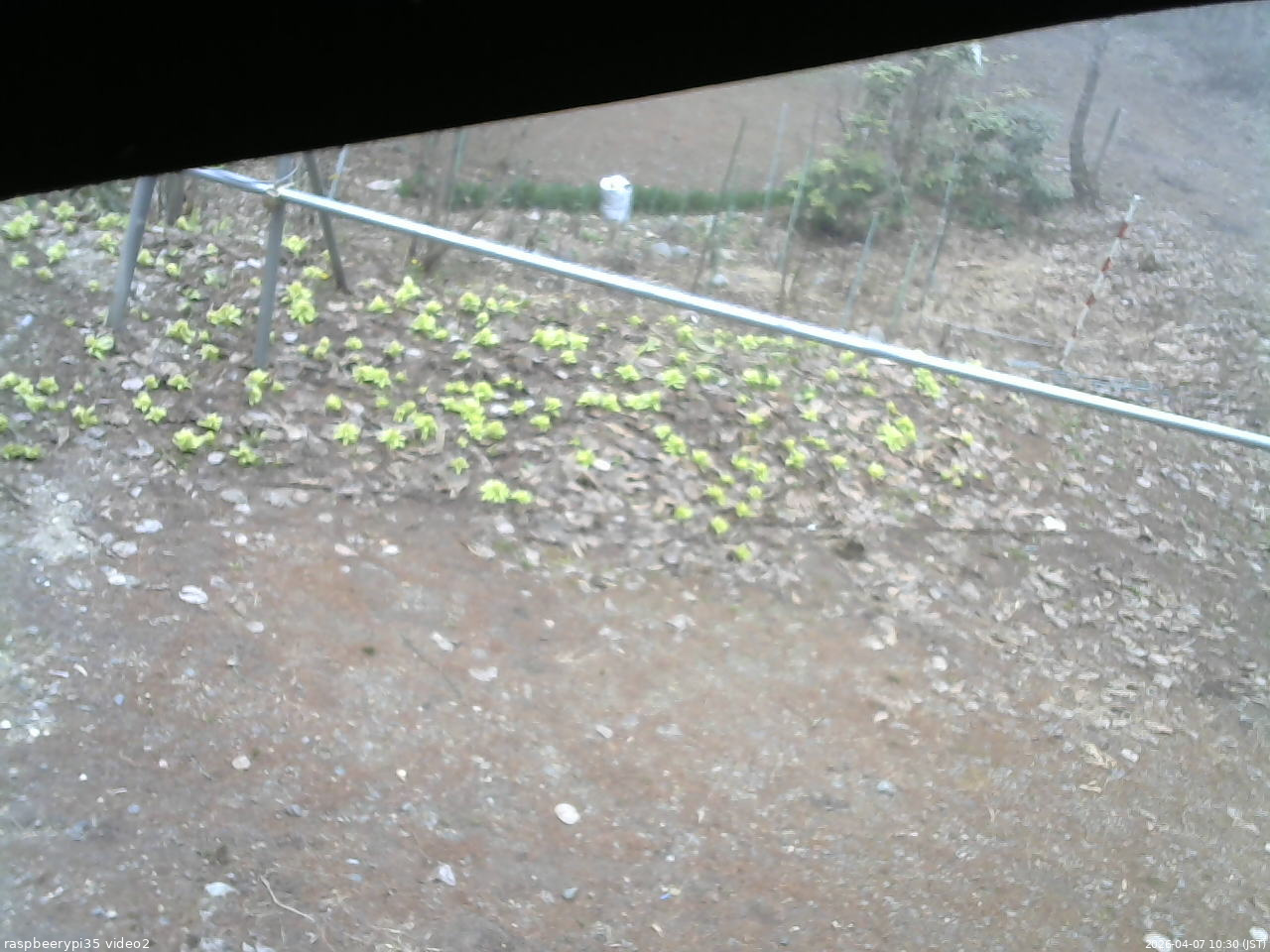 長野県菅平高原 ゆたか山荘 駐車場 2026/04/07 10:30