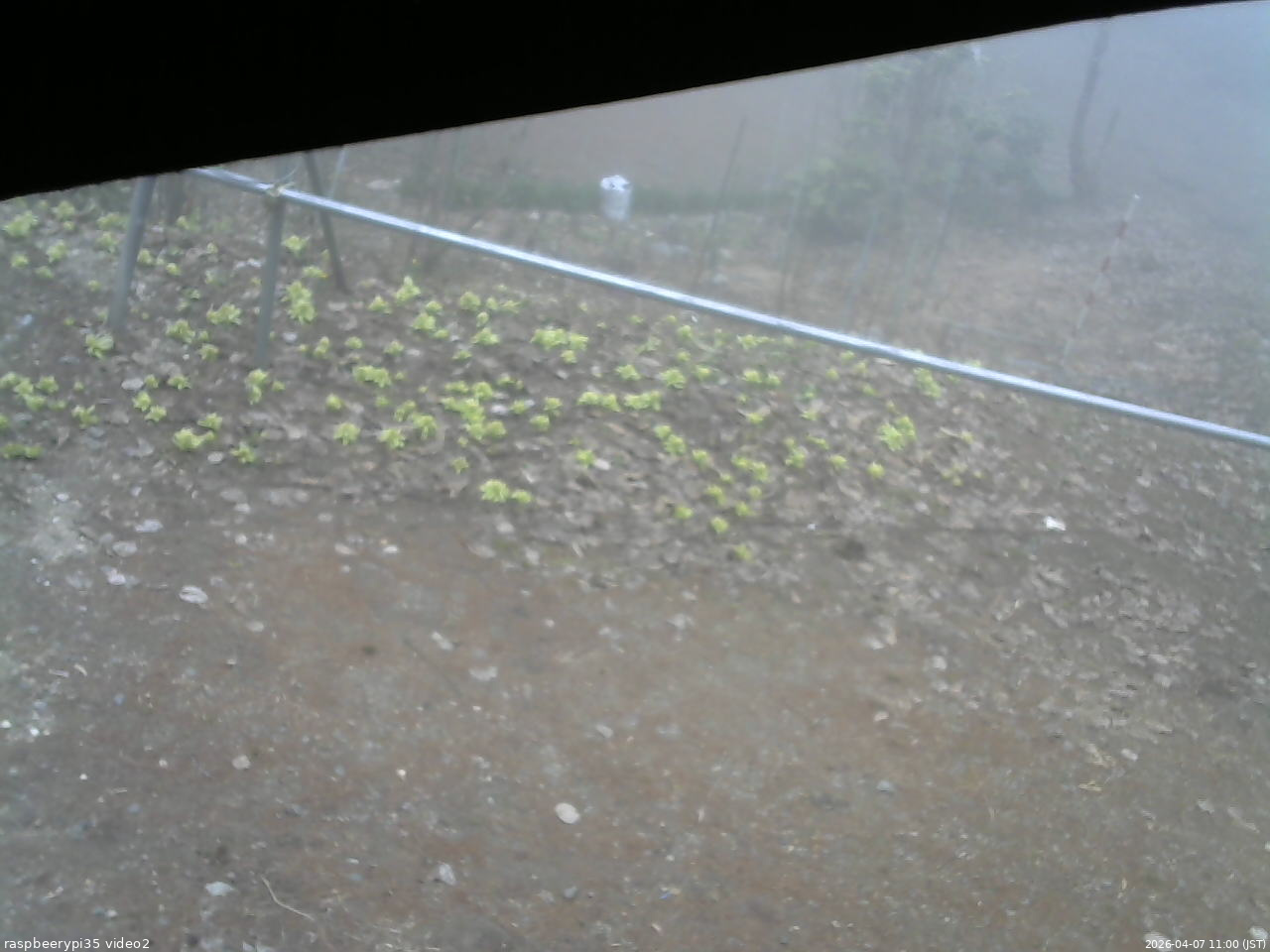 長野県菅平高原 ゆたか山荘 駐車場 2026/04/07 11:00