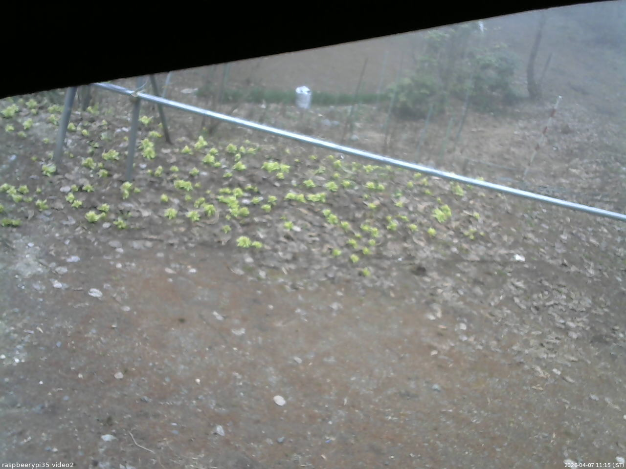 長野県菅平高原 ゆたか山荘 駐車場 2026/04/07 11:15