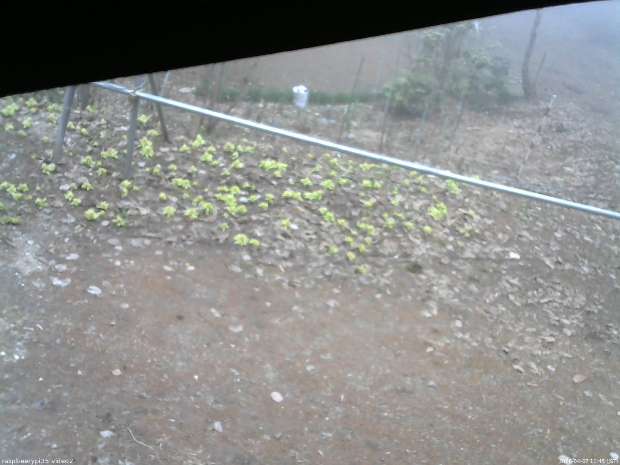 長野県菅平高原 ゆたか山荘 駐車場 2026/04/07 11:45