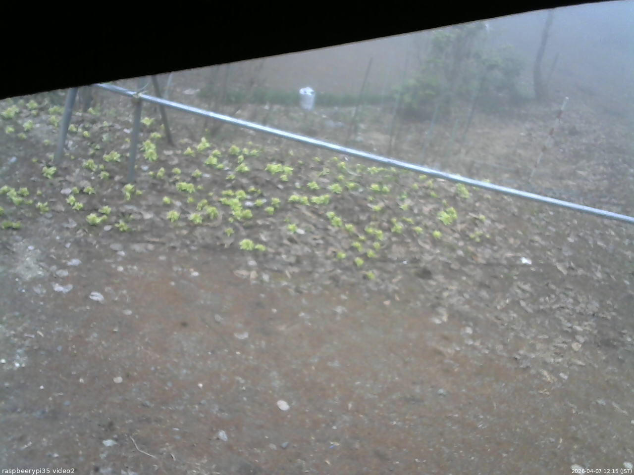 長野県菅平高原 ゆたか山荘 駐車場 2026/04/07 12:15