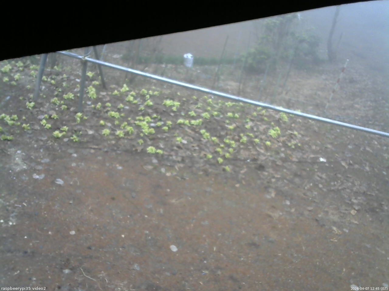 長野県菅平高原 ゆたか山荘 駐車場 2026/04/07 12:45