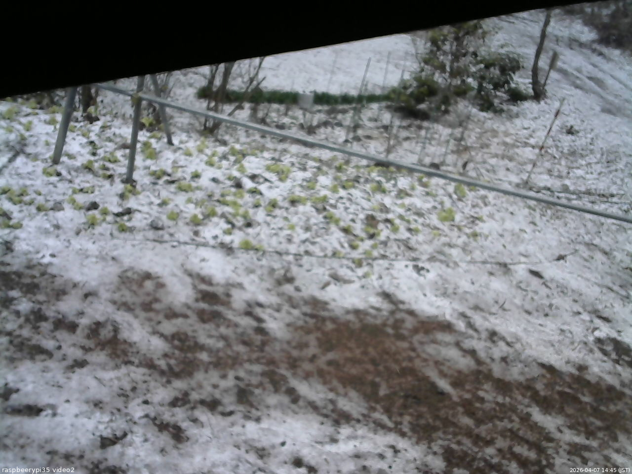 長野県菅平高原 ゆたか山荘 駐車場 2026/04/07 14:45