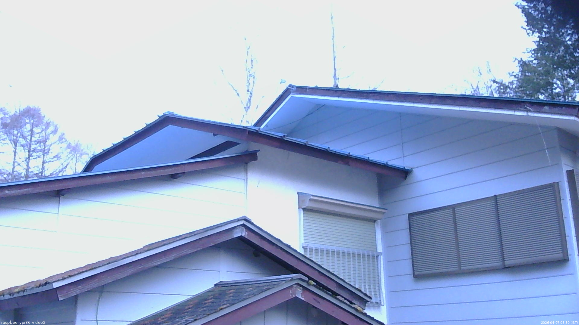 長野県菅平高原 ゆたか山荘 駐車場奥 2026/04/07 05:30