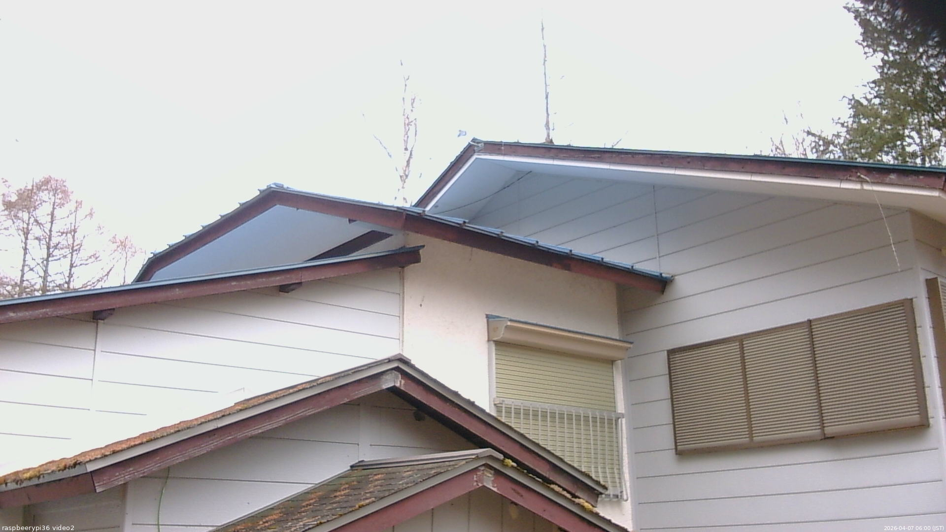 長野県菅平高原 ゆたか山荘 駐車場奥 2026/04/07 06:00