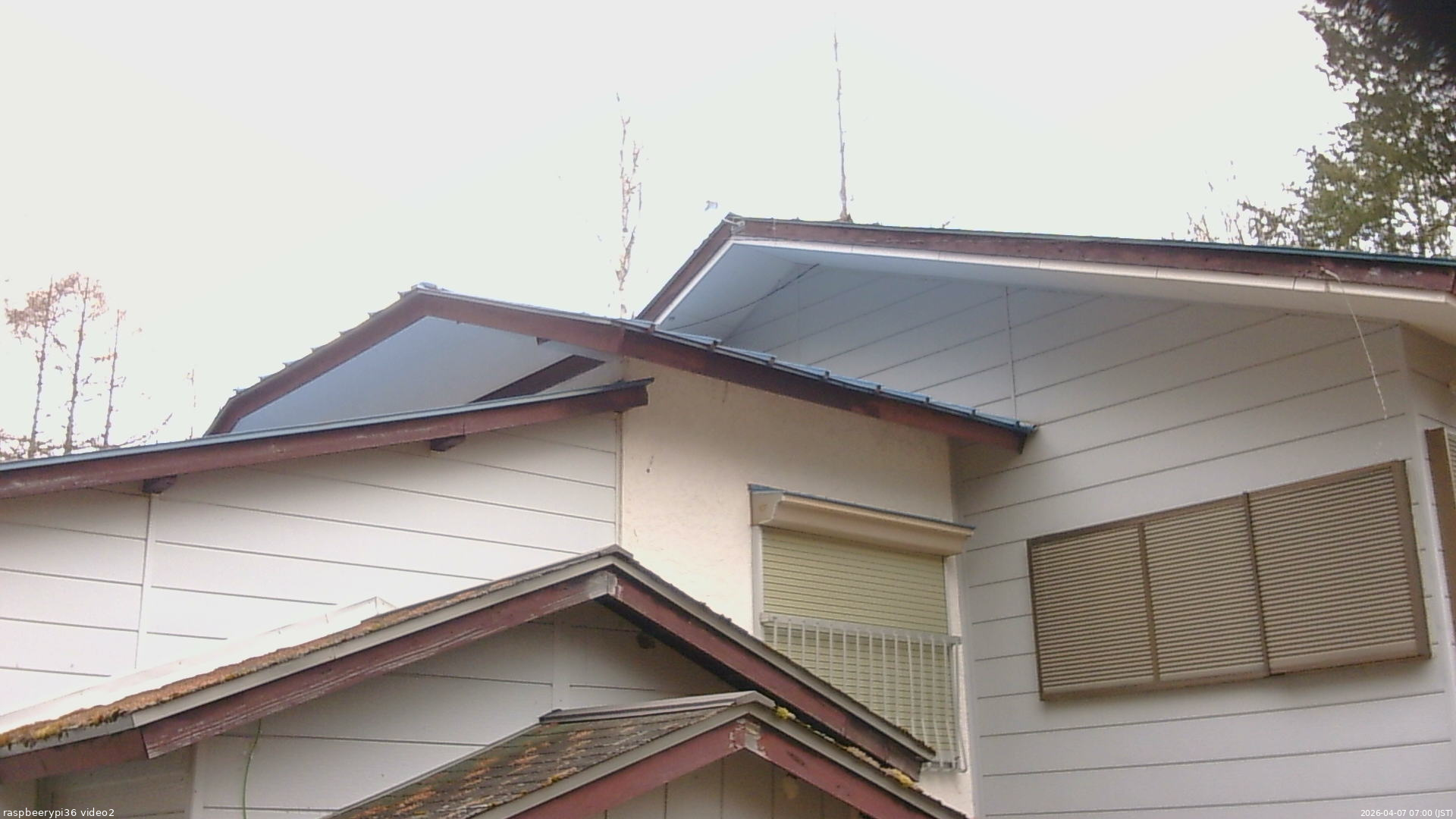 長野県菅平高原 ゆたか山荘 駐車場奥 2026/04/07 07:00