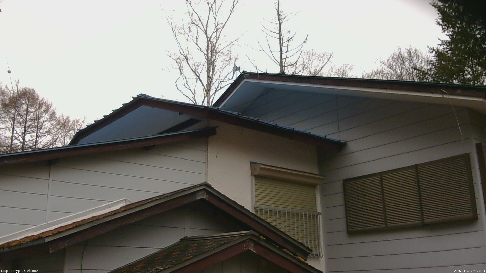 長野県菅平高原 ゆたか山荘 駐車場奥 2026/04/07 07:45