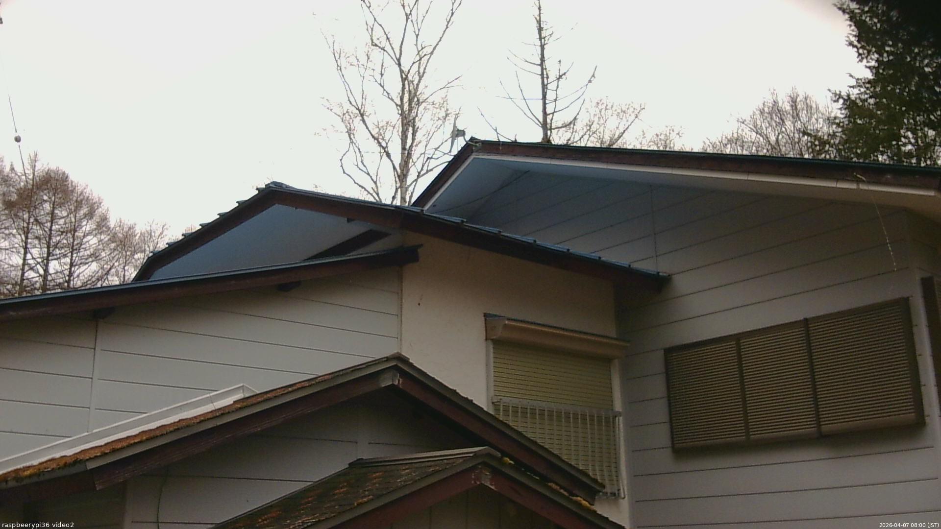 長野県菅平高原 ゆたか山荘 駐車場奥 2026/04/07 08:00