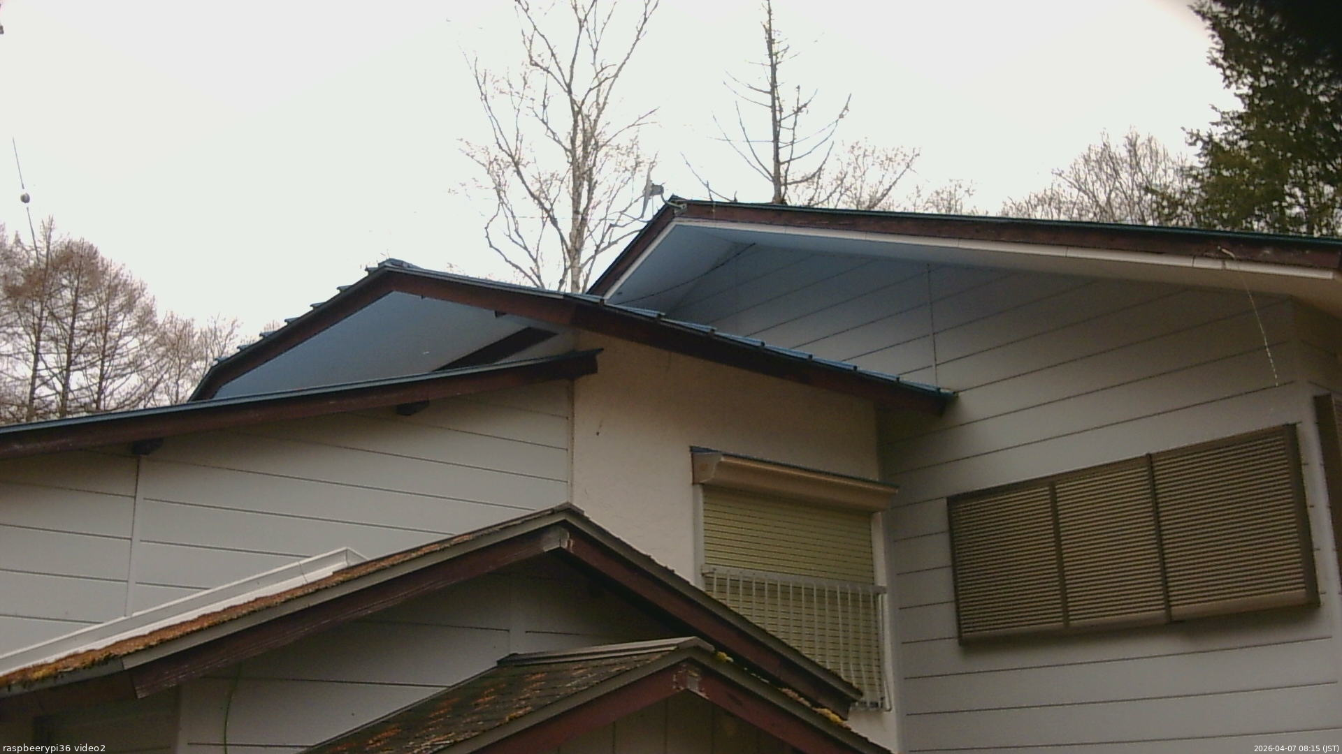 長野県菅平高原 ゆたか山荘 駐車場奥 2026/04/07 08:15