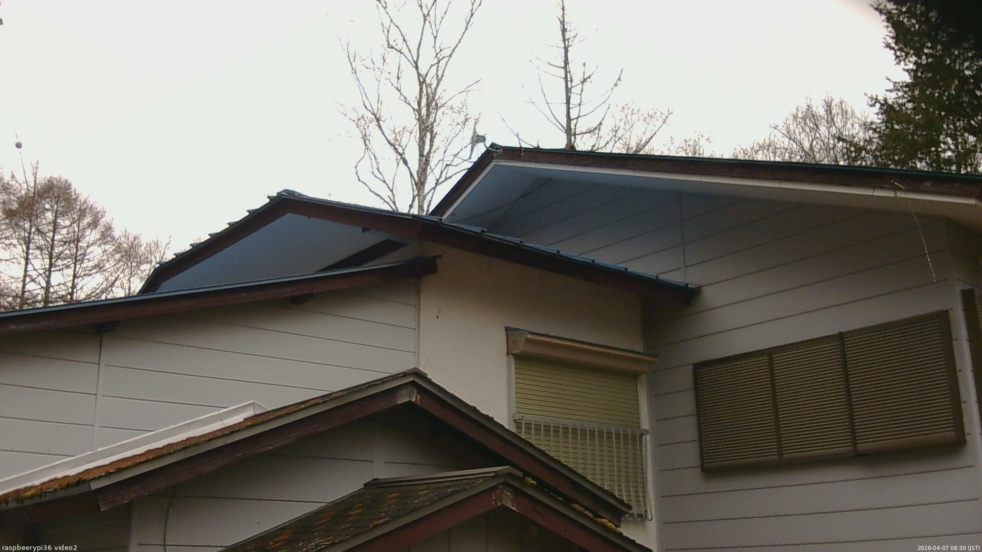 長野県菅平高原 ゆたか山荘 駐車場奥 2026/04/07 08:30