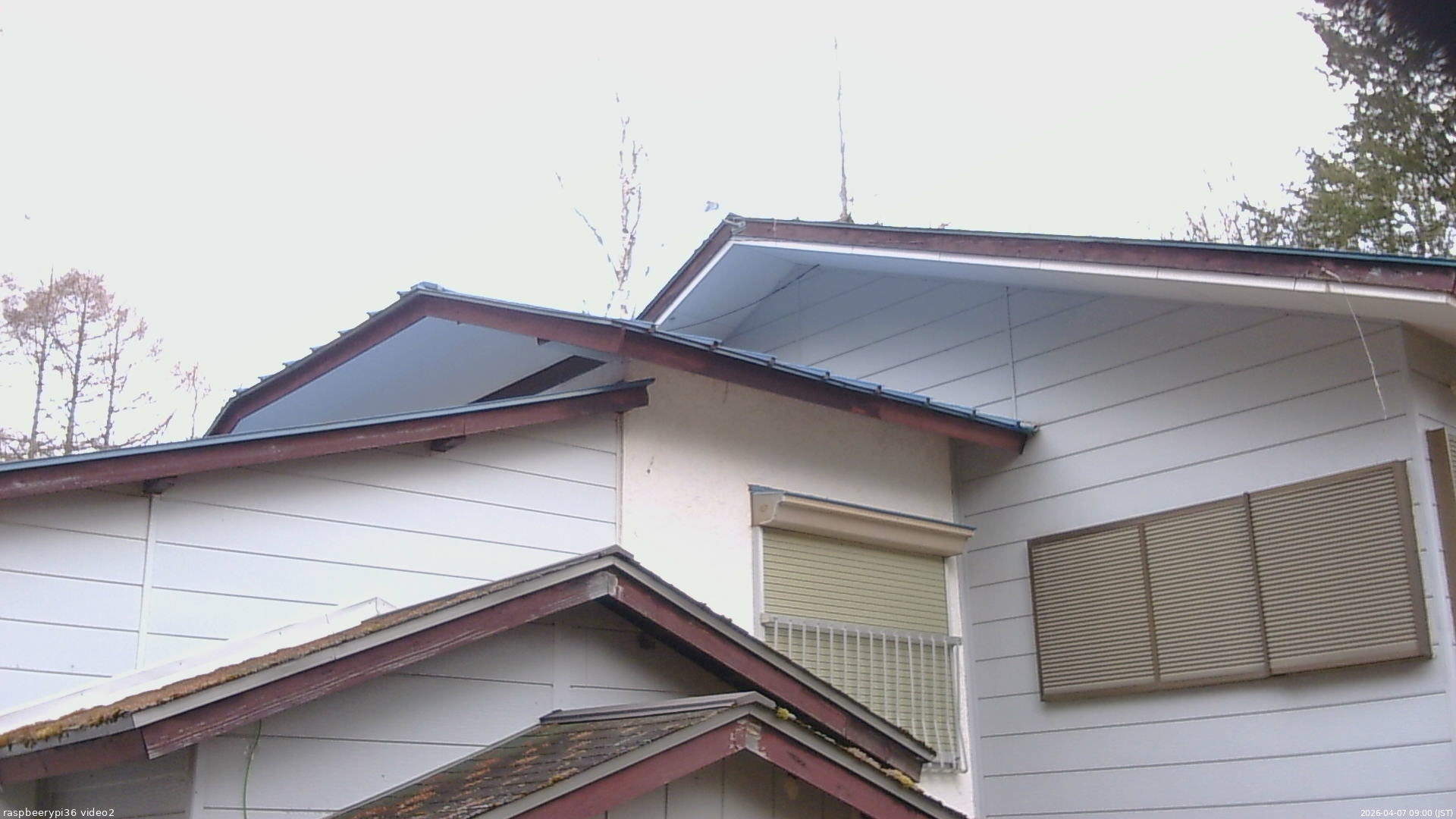 長野県菅平高原 ゆたか山荘 駐車場奥 2026/04/07 09:00